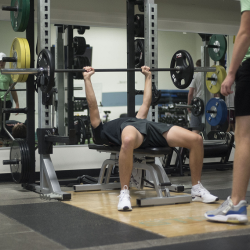 The Ultimate Guide to Group Fitness Classes at Strive Training